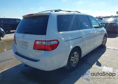 2005 Honda Odyssey Ex-L z USA, uszkodzony, nr VIN 5FNRL38785B017462